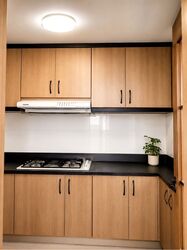 Palm Gardens (D23), Condominium #586726271